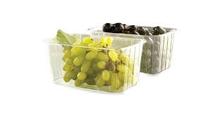 AVI Global Plast introduces 100% recycled PET punnets safe for food-contact - avigloplast